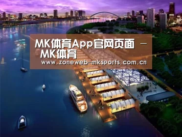 案例展示八