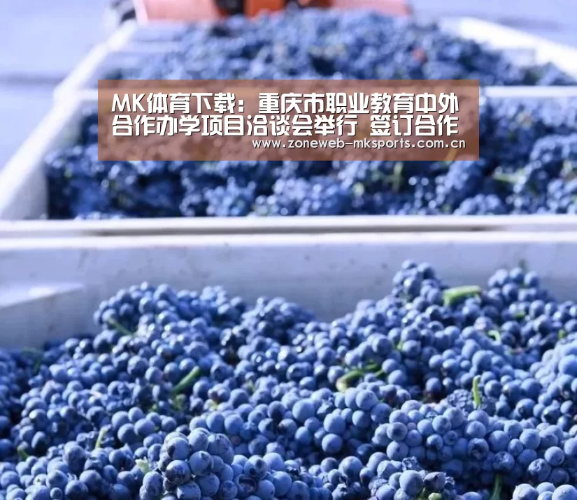 MK体育